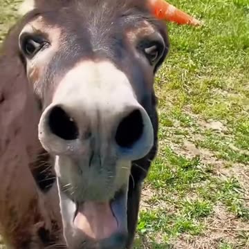 🌟 "Sharing Interesting Things with Interesting People ✨ | Fun & Inspiring Moments"