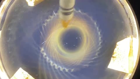 Magnetic Torus Field Breakdown and Demonstration Using Ferrofluid