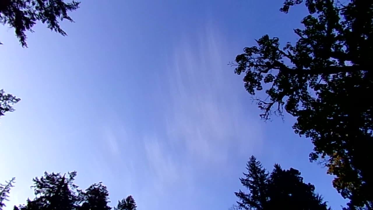 Wilderness 9/7/25: