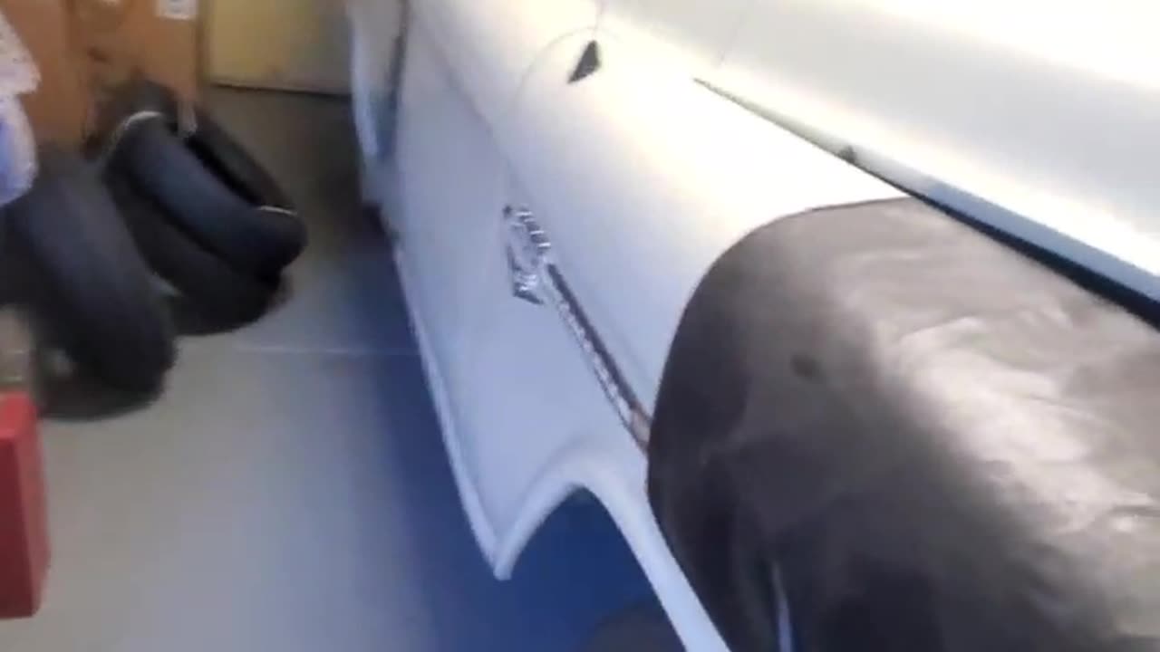 081925 55 Chevy 3100 so cherry #automobile