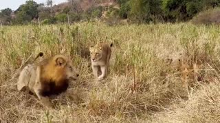 😂 Bet He's Behind on Cub Support Payments... You'll Laugh! | FunFM