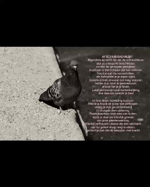 Het Afscheids Advies