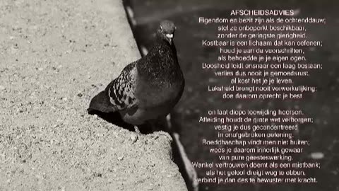 Het Afscheids Advies