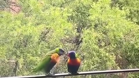 Love is life