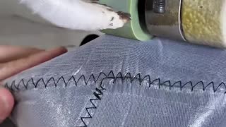 😮🔧 Watch This Machine In Action! | FeedMyCuriosity