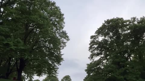 Bottle Cap Boomerang