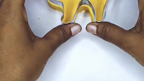 Turning yellow sand into a purr-fect little cat 🐱