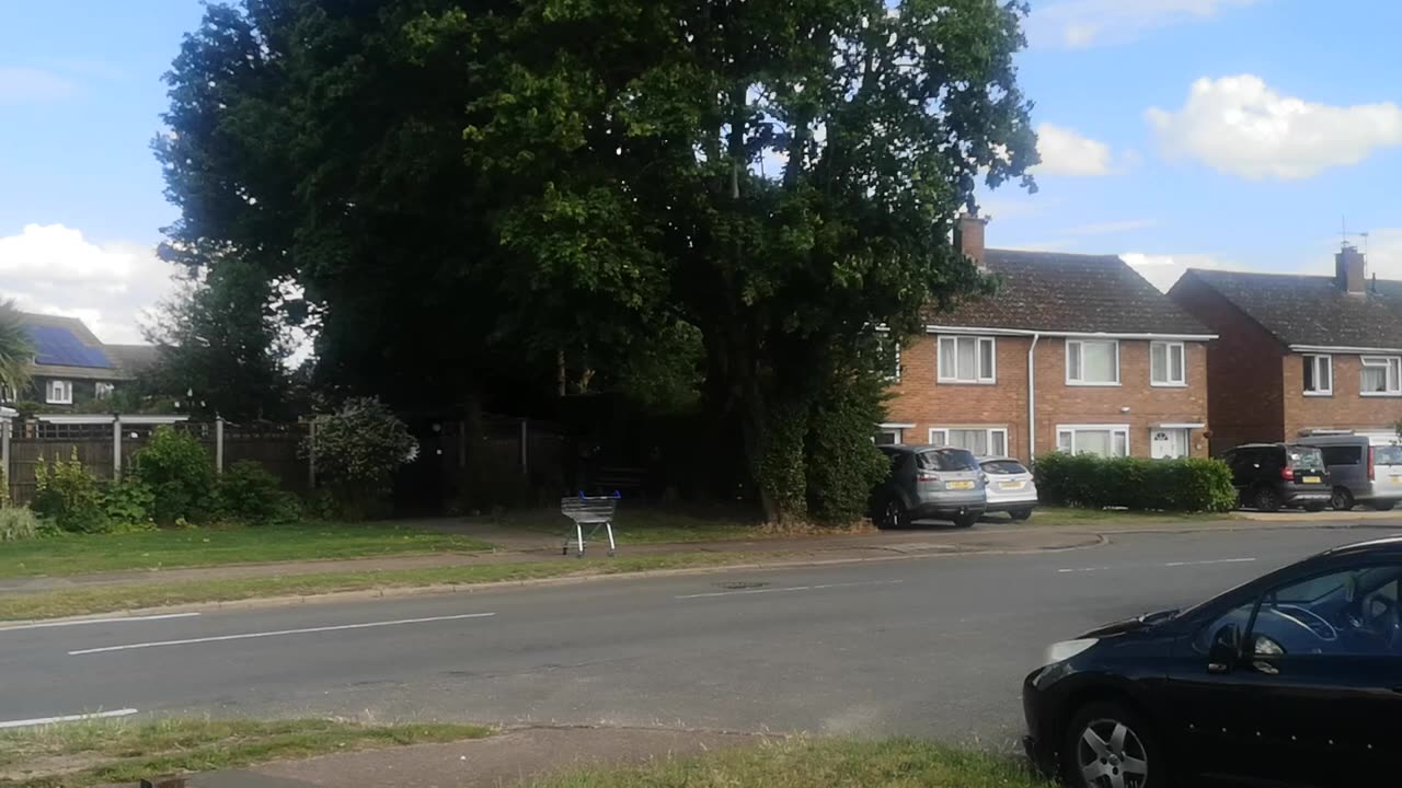 Royal Grooming Gang 3