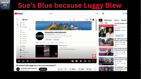 Sue’s Blue because Luggy Blew