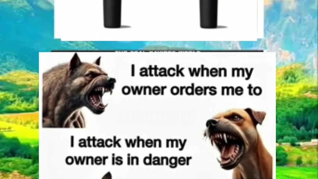 Memes of the day | funny memes | #funny