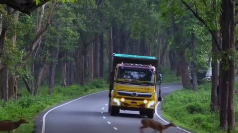 Nature Bus Route