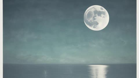 Moonlit Dreams