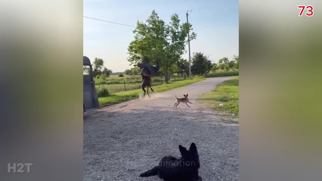 Top 100 Funniest Videos of All Time 😂😁 Try Not To Laugh || Memes Part 5