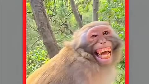 It's a big funny video the world 🤣🤣🤣#funy #funyvideo