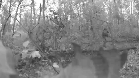 Intense Footage of Ukrainian Soldiers Clearing Out Forested Area