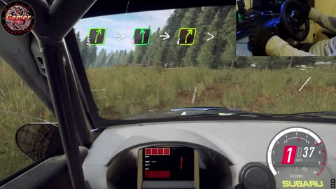 I’m Okay, Keep It Pushing – DiRT Rally 2.0 Subaru Impreza 2001 Powys Wales Stage
