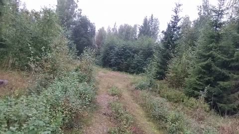 Lopulta löytyikin yksi autiotalo