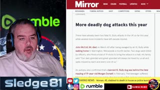 Dog attacks rocket to 87 every day