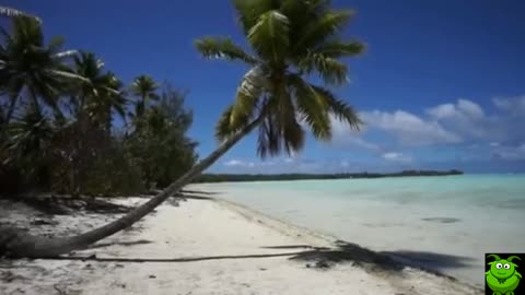 ✨ Bora bora French 2016 - Polynesia Paradise on Earth