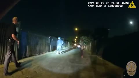 LAPD Attempt to Detain Man With Gun