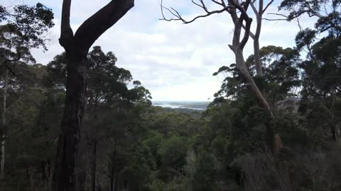 Australia's Best Kept Secret - South West Australia Drone Footage