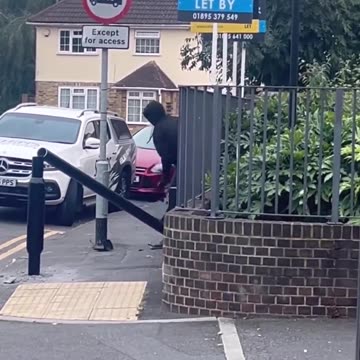 ULEZ cameras being cut down