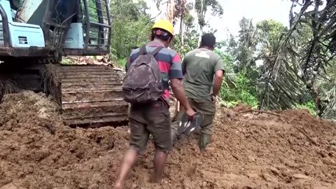 Orangutans at risk as Indonesia floods devastate habitat