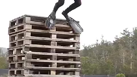 If Animals Did Parkour 😂 (Part 4) | Ultimate Animal Freerun Fails & Wins!