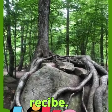 😊 51 NO ESTÁS ESPERANDO POR TU MILAGRO, ESTÁS… 😊