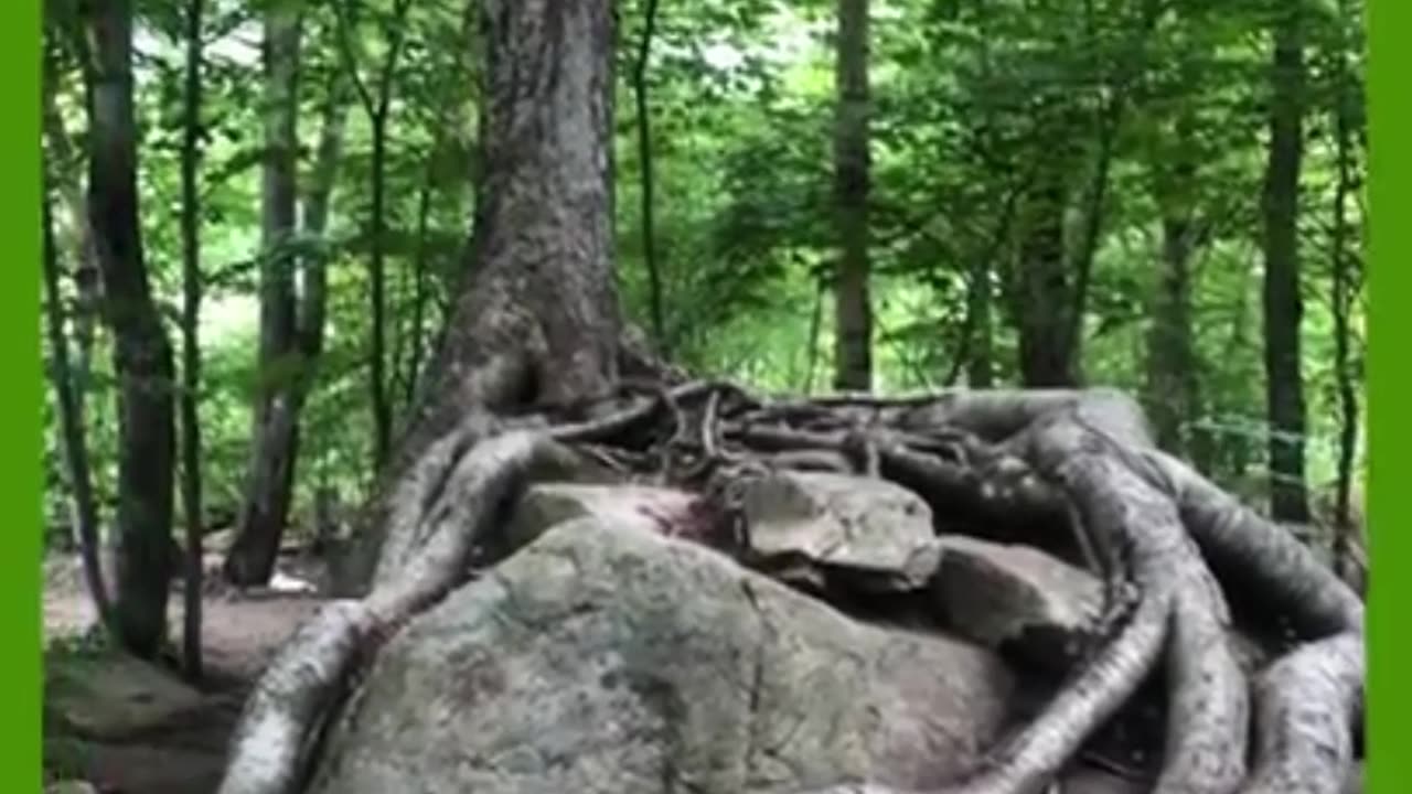 😊 51 NO ESTÁS ESPERANDO POR TU MILAGRO, ESTÁS… 😊