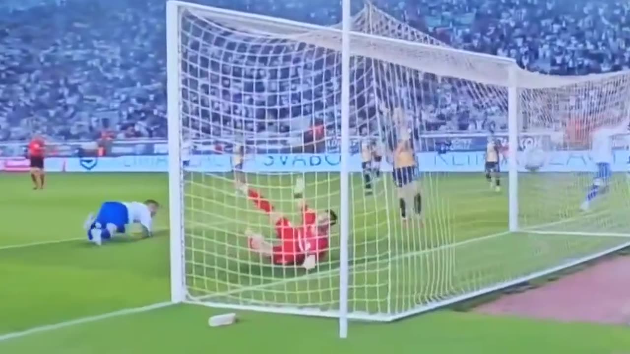 Trajkovski gol