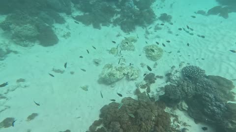 Mark Clark Portrush Taylor Clark snorkeling with family & friends in SE Asia, Vietnam, Laos, UK 2025