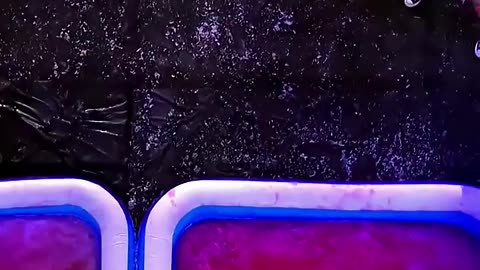 got talent global 😱 tha lady judge Nikki Bella body slam to plays