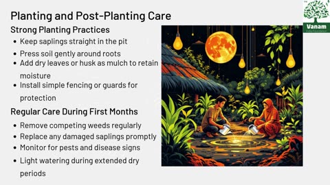 How to Increase Sapling Survival Rate in Village Afforestation Projects in Tamil Nadu