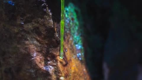 crystal ciear lagoons(1)