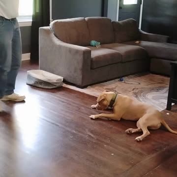 Hi I'm George .Practice short 2