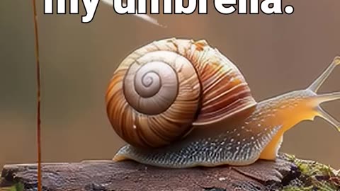 Don’t worry! I brought my umbrella :)) #nature #snail #anxiety #meditationmusic #healingmusic