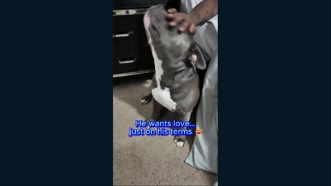 Meet Blue and his family