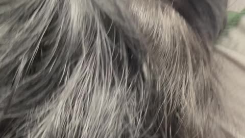 "Touching & Playing with Long Hair in Public – Street Moments!"