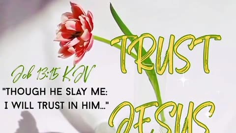 Trust Jesus Through the Process Job 13:15 KJV Though He Slay Me I Will Trust Him #faith #trust #kj
