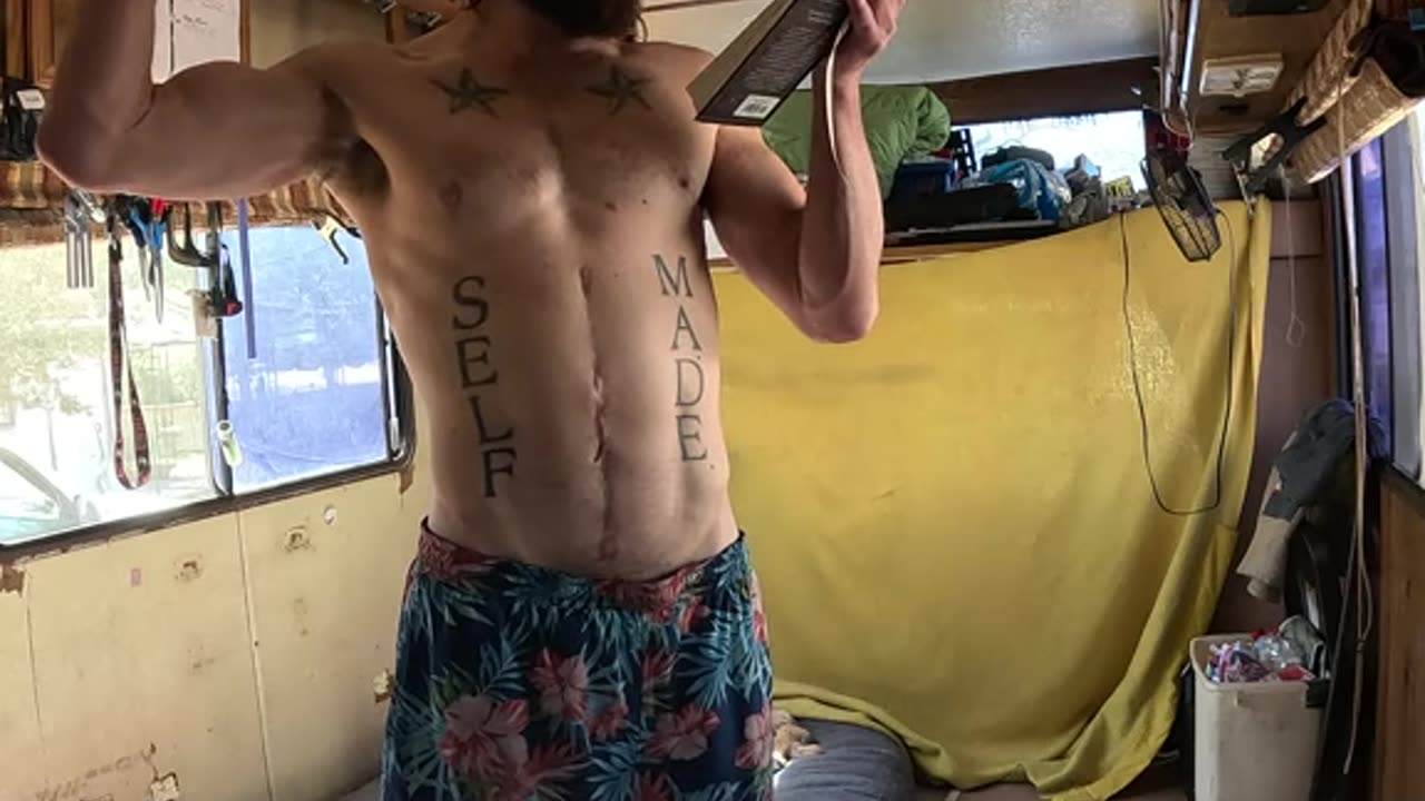 🐈Cat-Scratch🐕Devotional💪