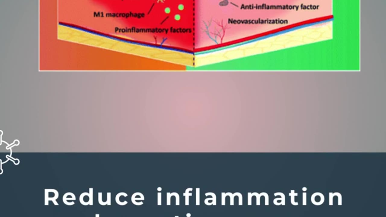 How stem cells accelerate wound healing?