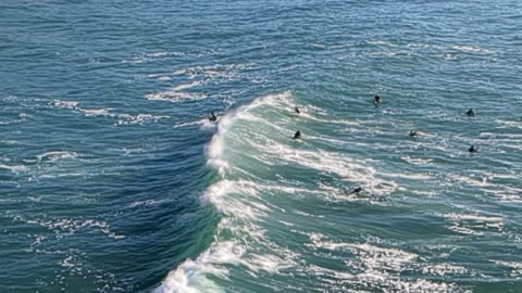 Surfing M A G O I T O