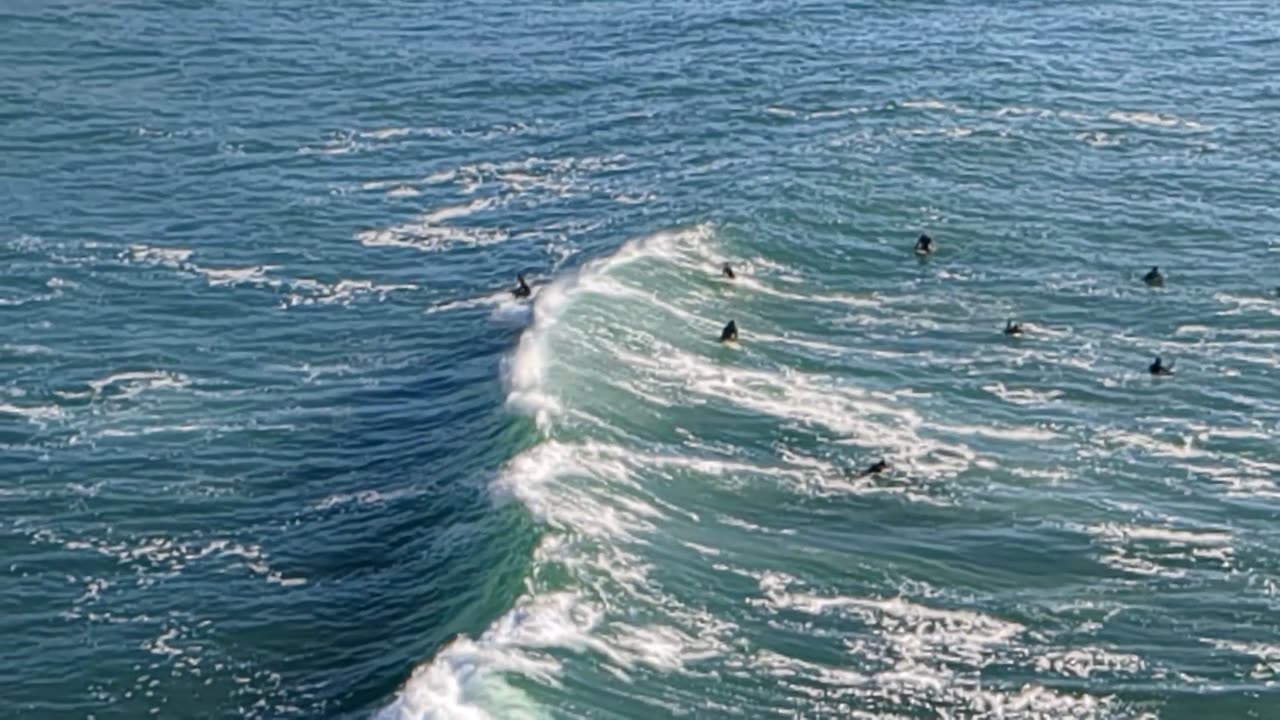 Surfing M A G O I T O