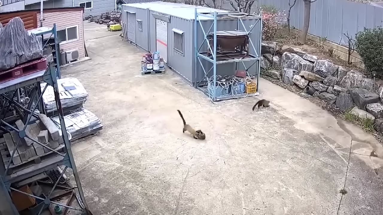 See how dangerous Martin is