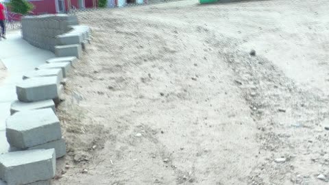 Leaving Babby farms, but not before seeing the piggy!