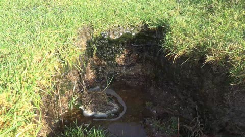 Dartmoor walk to the Stone Roses and warhorse Cottage in December. Near sheeps Tor