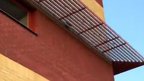 😂😲 He Just Took It WAY Too Far! | FunFM