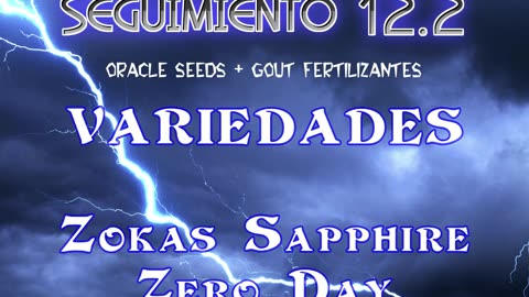 Seguimiento 12.2 (Capitulo 2º)