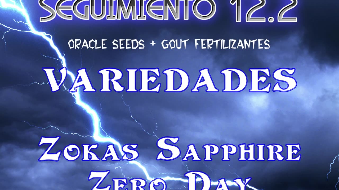 Seguimiento 12.2 (Capitulo 2º)